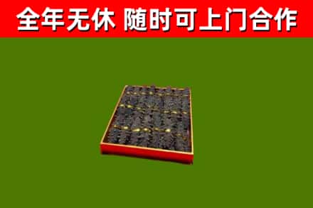 乐至县回收海参